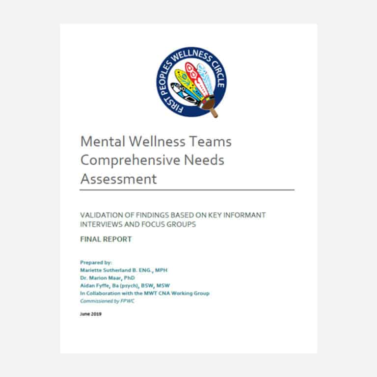 Mental Wellness Teams Comprehensive Needs Assessment, June 2019