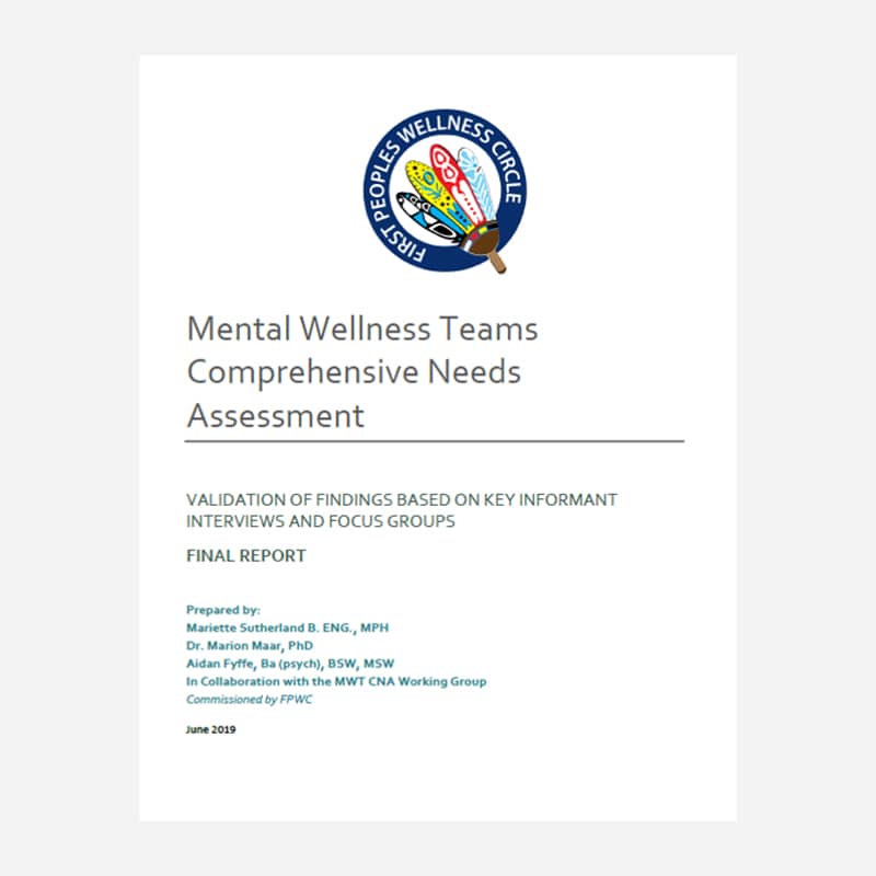 Mental Wellness Teams Comprehensive Needs Assessment, June 2019