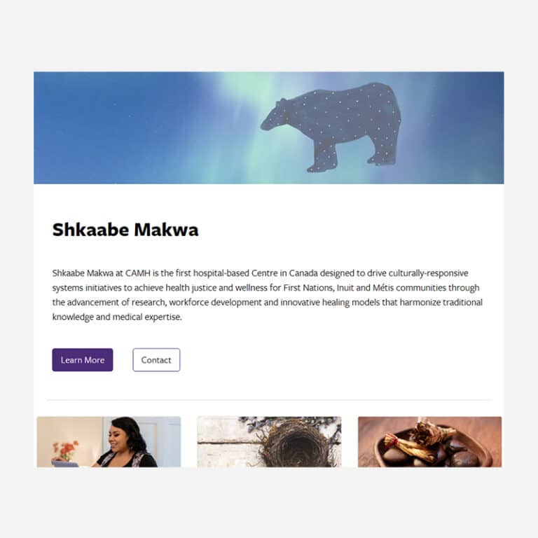 Shkaabe Makwa – CAMH – Resources and Training