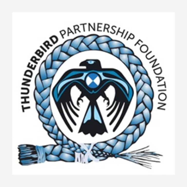 Mino Bimaadiziwin By Thunderbird Partnership Foundation