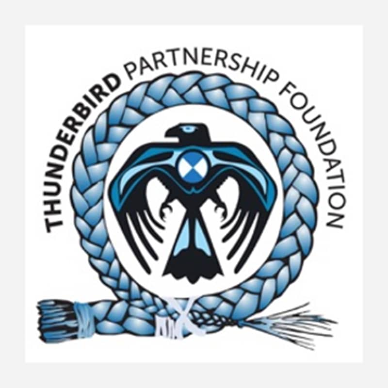 Mino Bimaadiziwin By Thunderbird Partnership Foundation