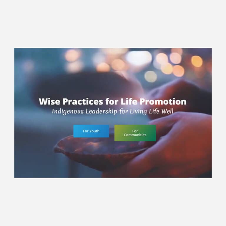 Wise Practises for Youth and Communities