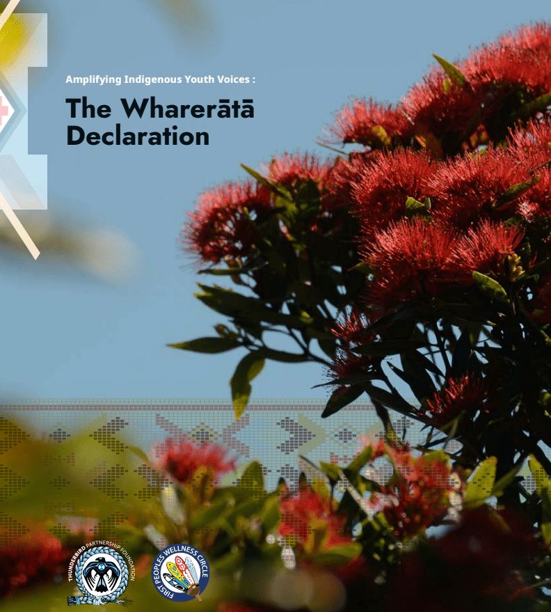 Amplifying Indigenous Youth Voices: The Wharerātā Declaration