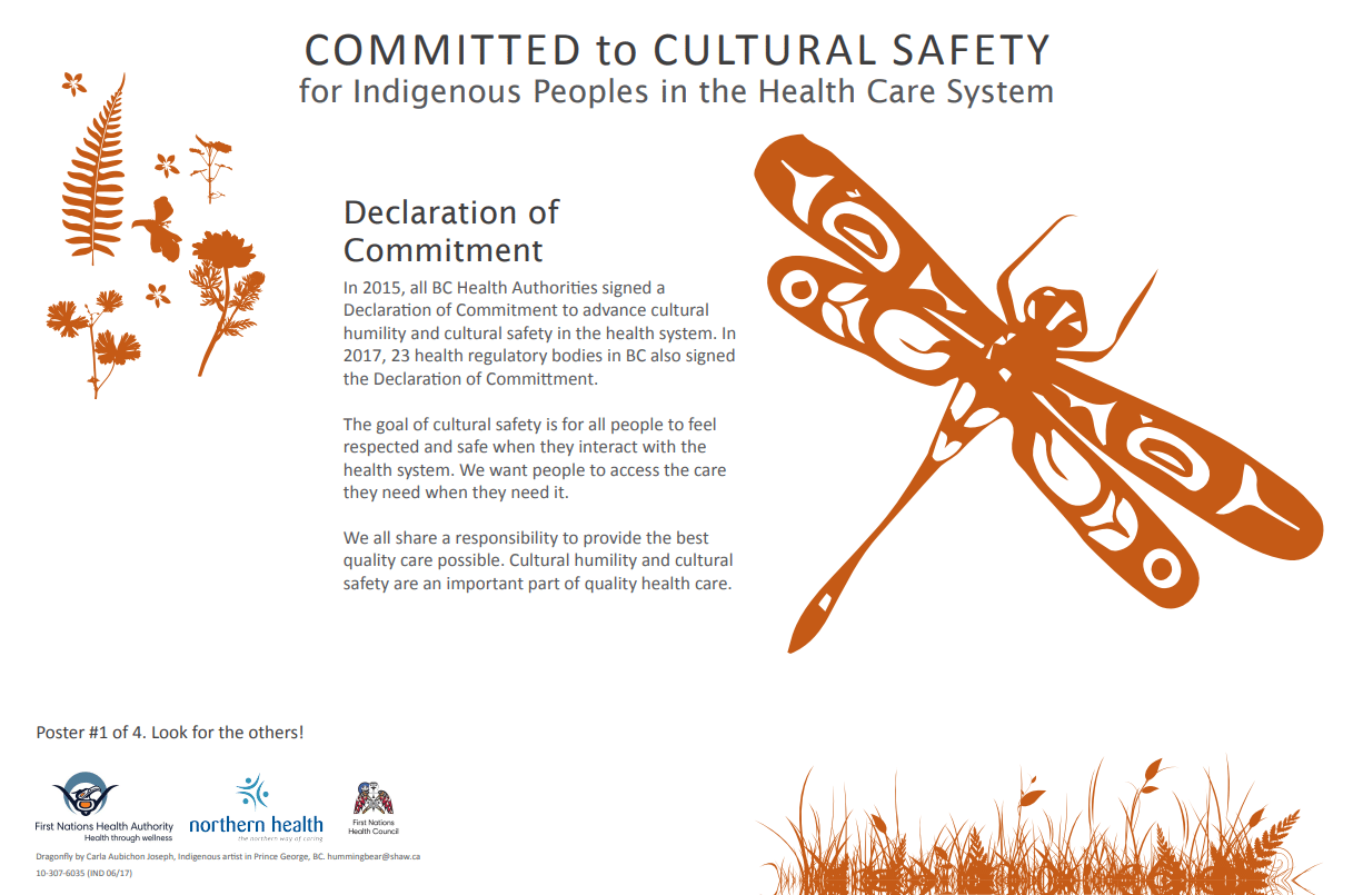 Cultural Safety Poster Series