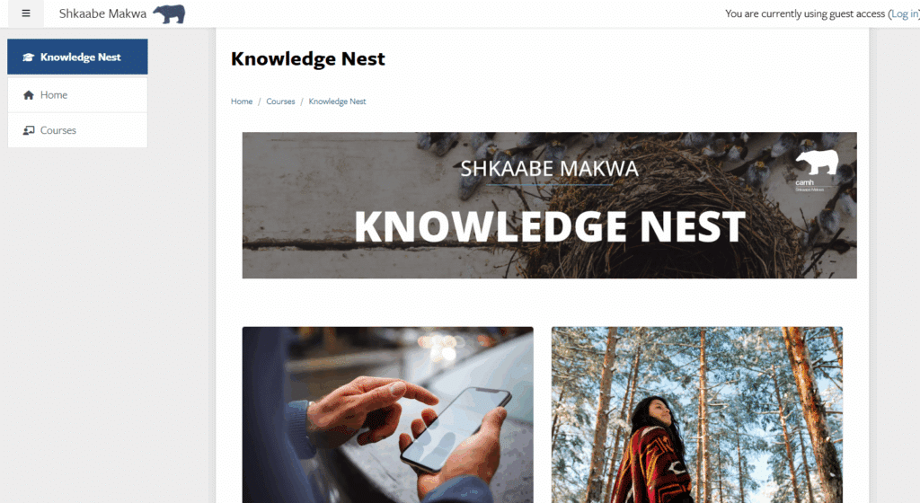 Knowledge Nest – Shkaabe Makwa