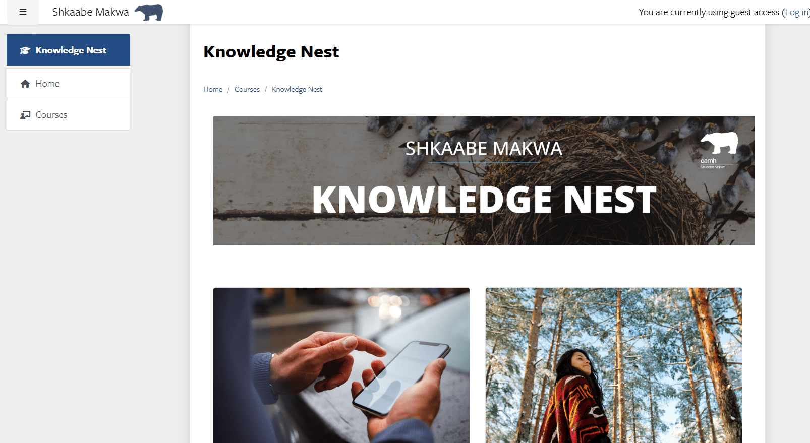 Knowledge Nest – Shkaabe Makwa