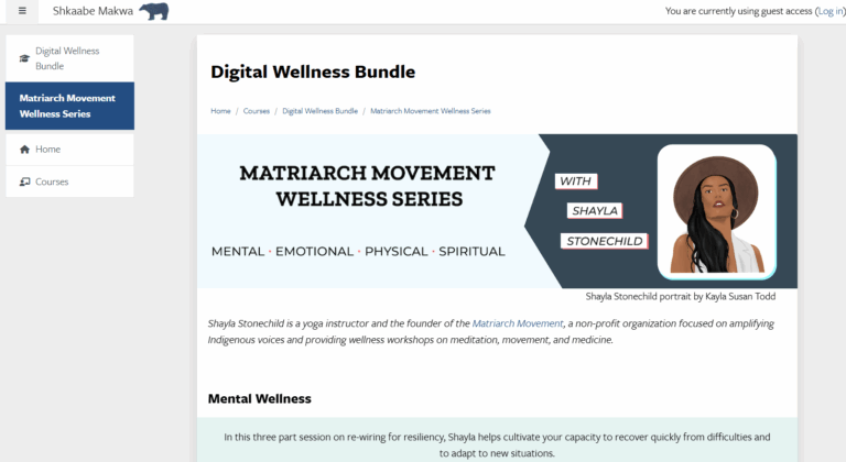 Matriarch Movement Wellness Series – Shkaabe Mawka