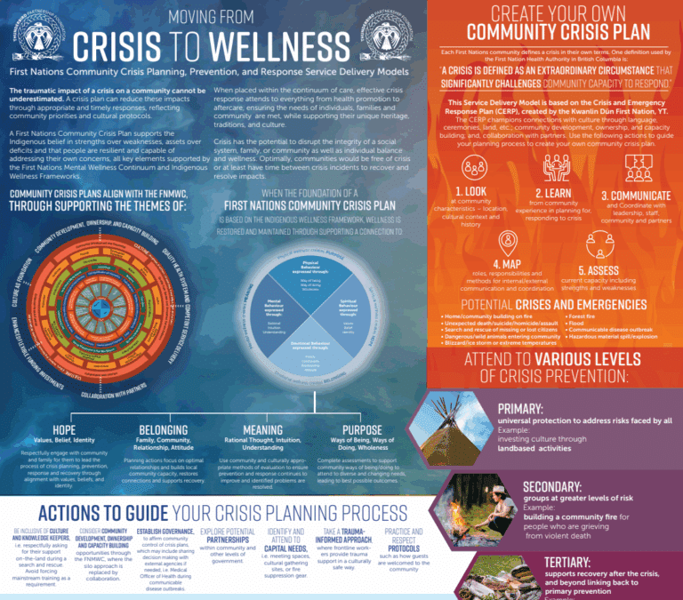 Moving from Crisis to Wellness