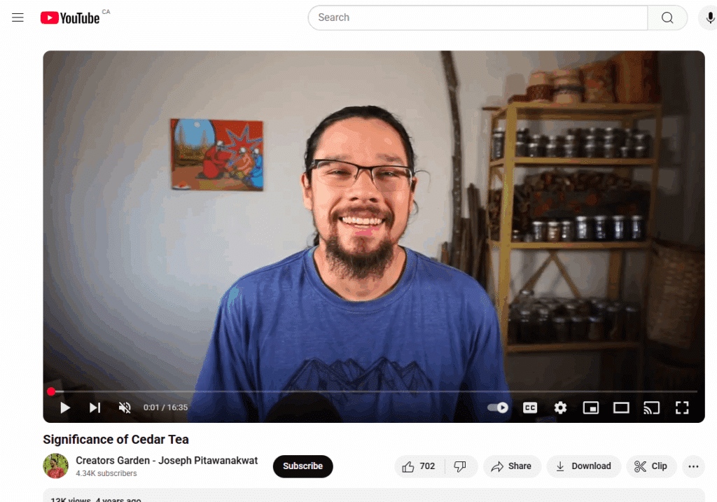 Significance of Cedar Tea. Creators Garden – Joseph Pitawanakwat