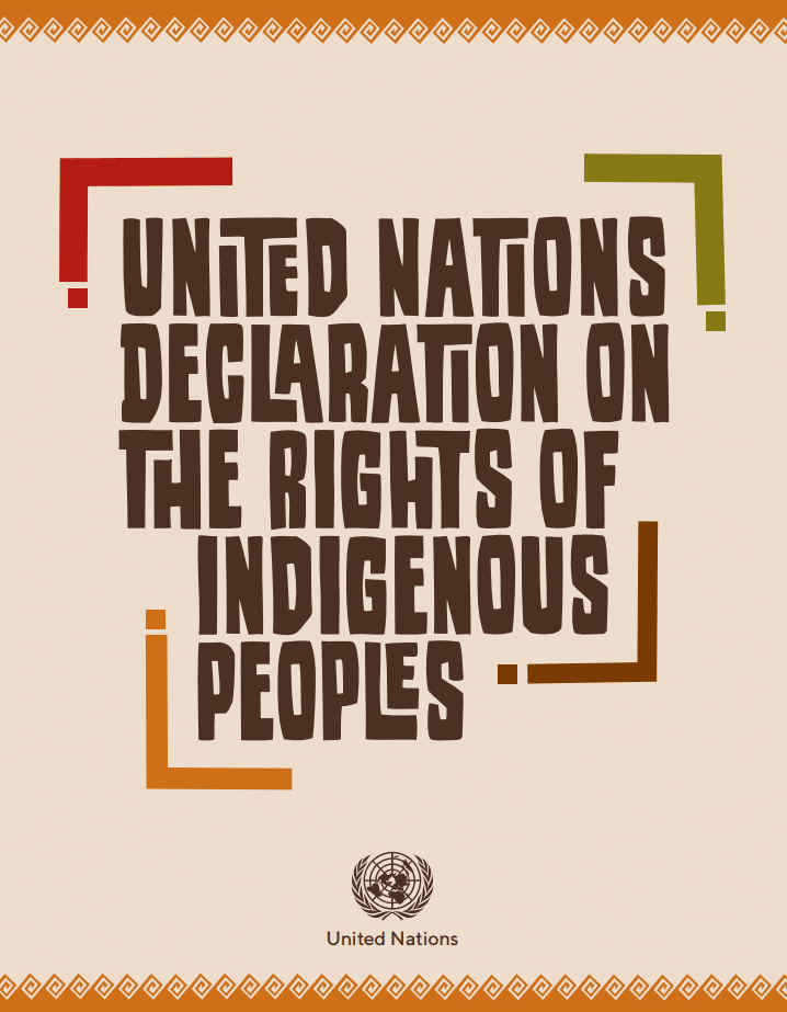 United Nations Declaration on the Rights of Indigenous Peoples