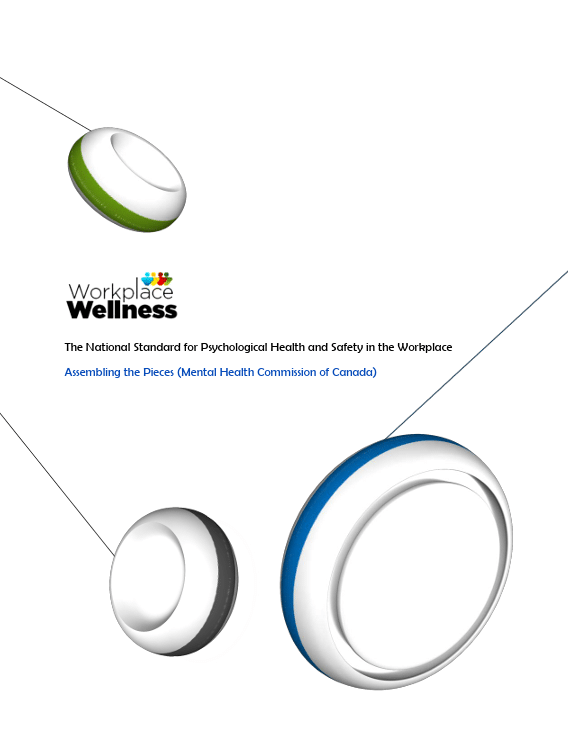 Assembling the pieces: A guide to implementing the National Standard for Psychological Health and Safety in the Workplace (Caring for Healthcare Toolkit)