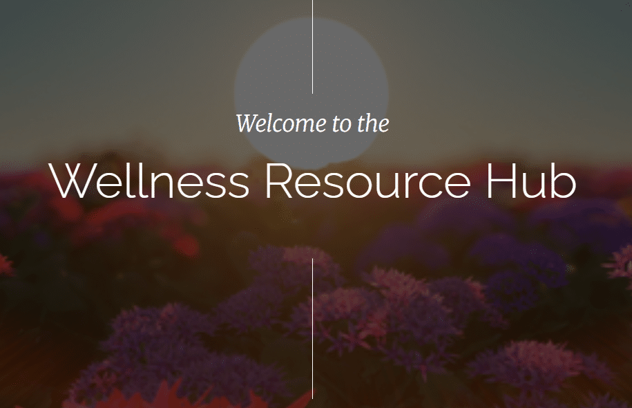 Wellness Resource Hub – ACHWM