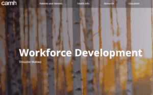 Shkaabe Makwa – Workforce Development Trainings (CAMH)