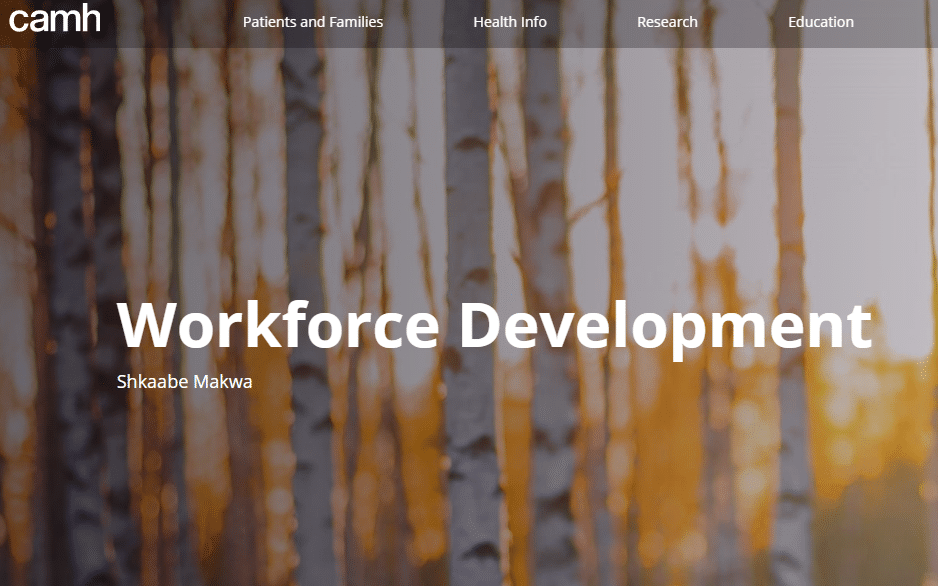 Shkaabe Makwa – Workforce Development Trainings (CAMH)